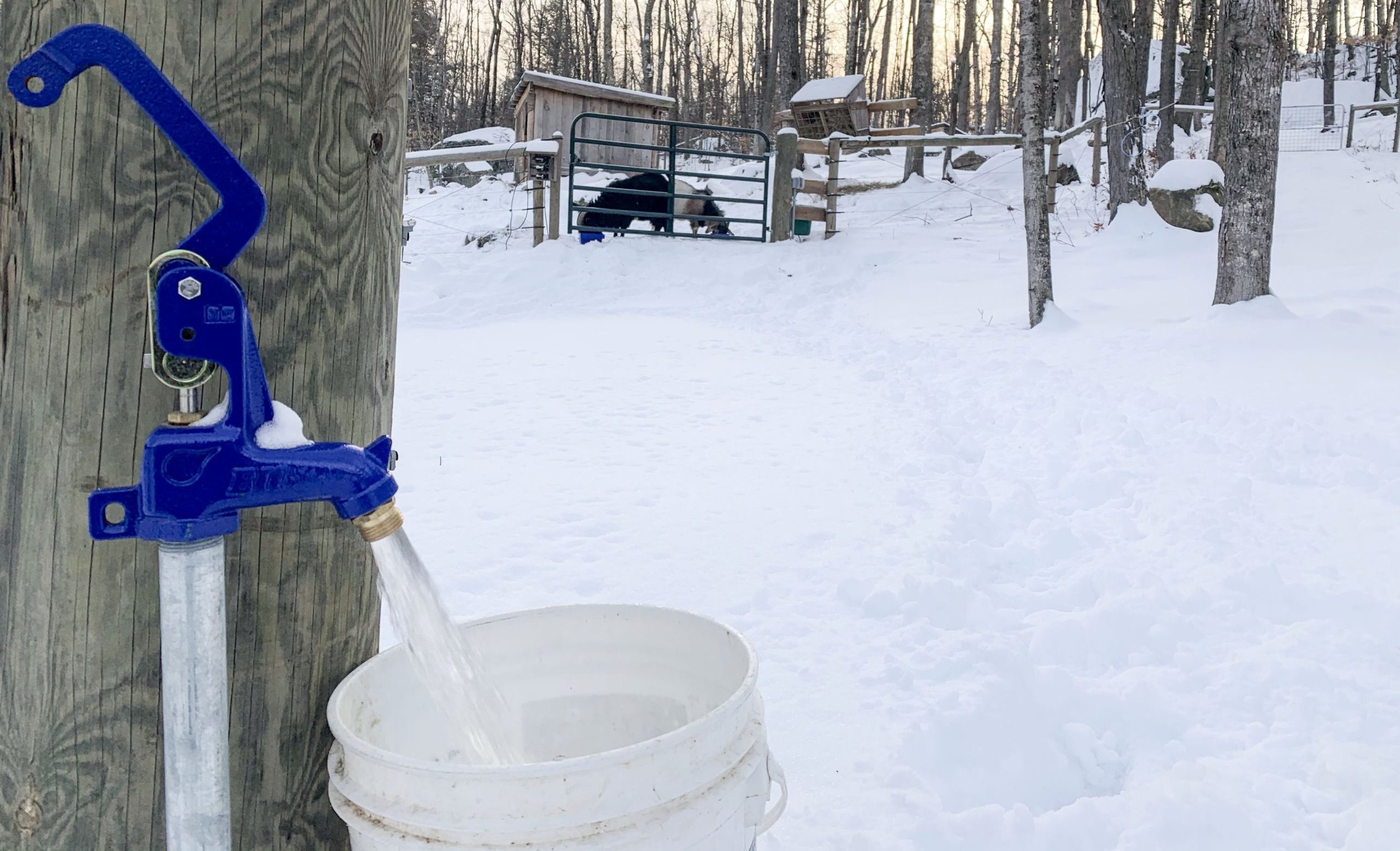 Farm Water in Winter